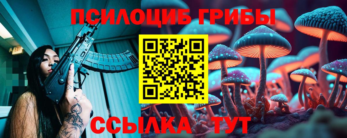 Псилоцибиновые грибы GOLDEN TEACHER Моршанск