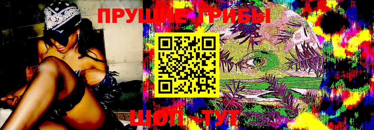 Моршанск  Галлюциногенные грибы Magic Shrooms  Вход с VPN  Псилоцибиновые грибы MAGIC MUSHROOMS 